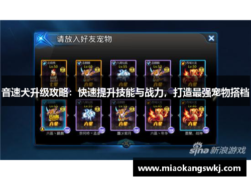 音速犬升级攻略：快速提升技能与战力，打造最强宠物搭档